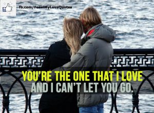 You’re the one that I love and I can’t let you go.
