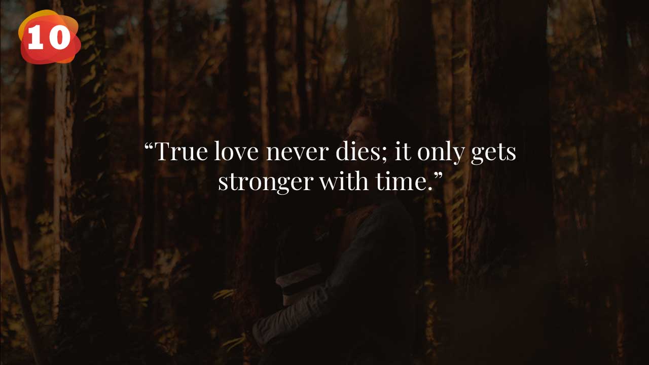 Quotes about love.