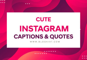 Instagram Quotes & Captions That Will Capture Attention Of Your Followers