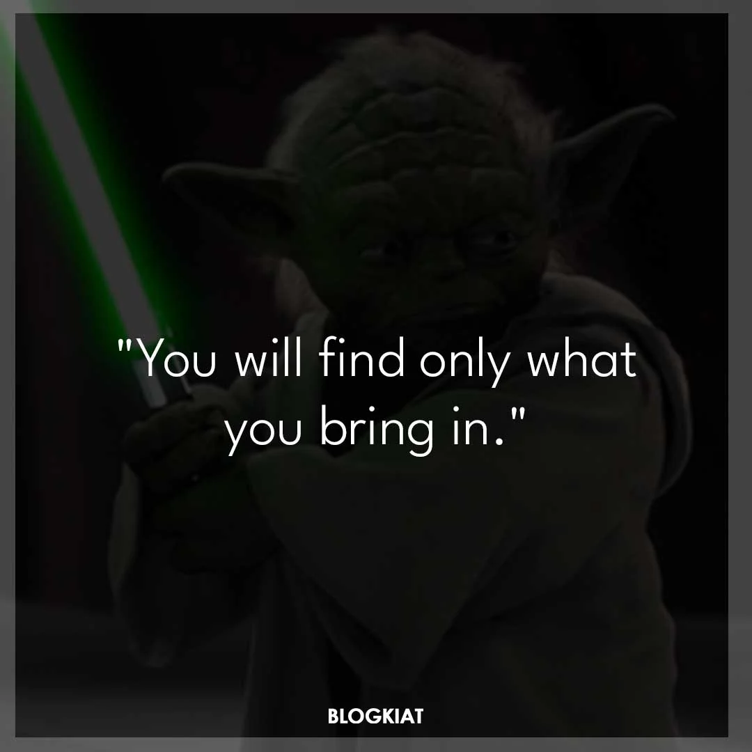 "You will find only what you bring in."