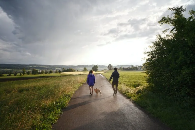 Best Instagram Captions for Walking Your Furry Friend