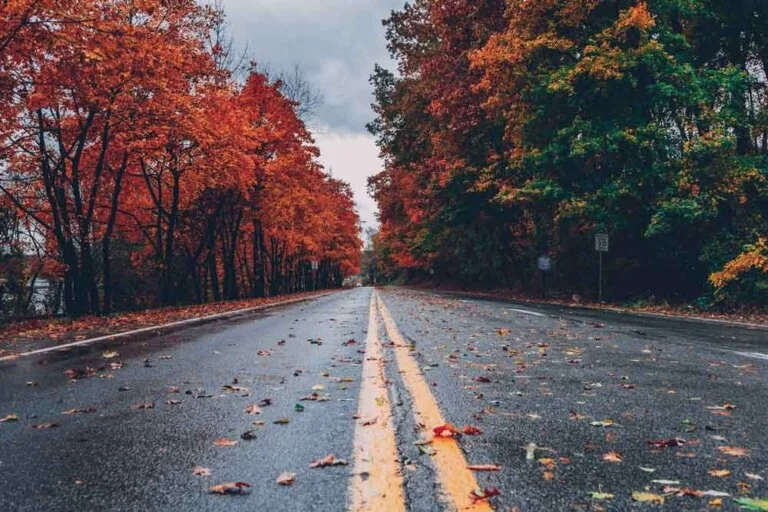 Best-Fall-quotes