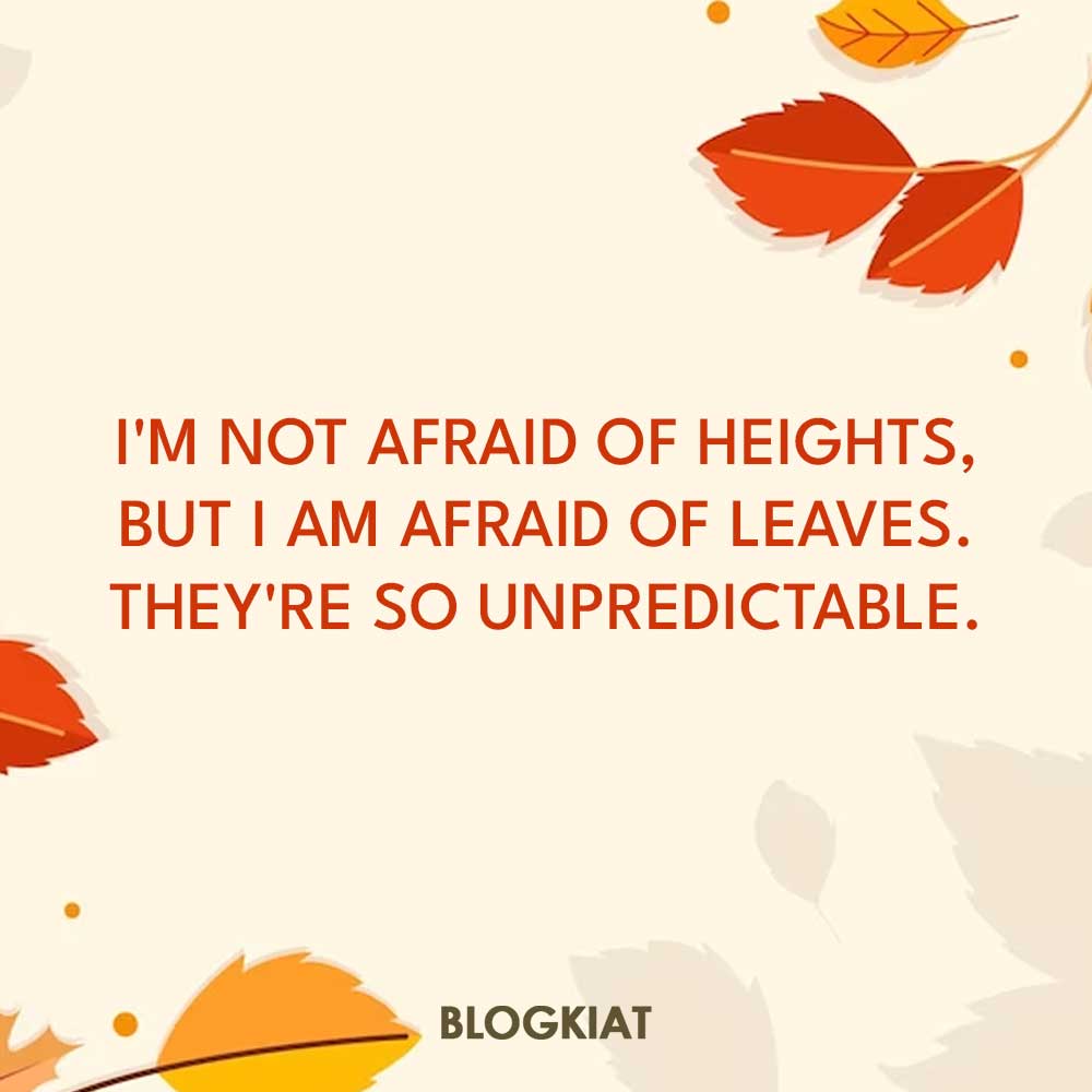 funny-fall-quotes