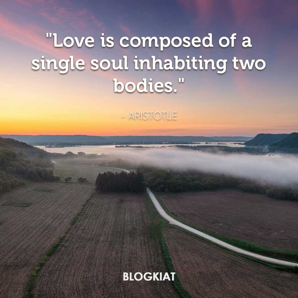 Aristotle-one-line-quotes