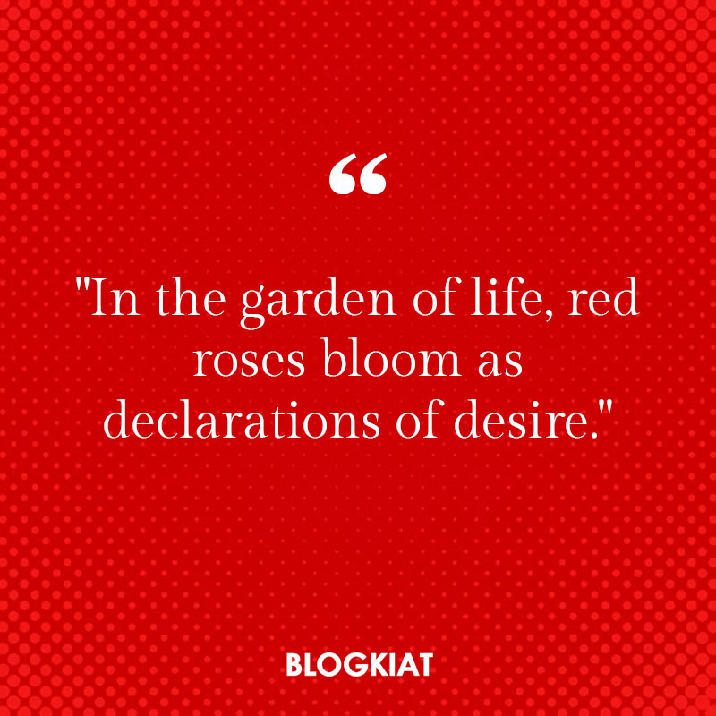 Best Aesthetic Red Quotes