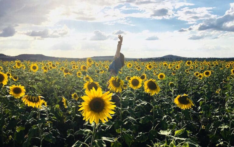 Joyce-Meyer-Quotes-For-Personal-Growth