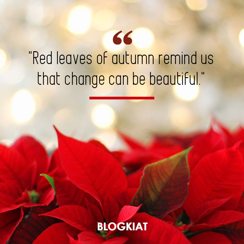 Red-leaves-of-autumn-quotes