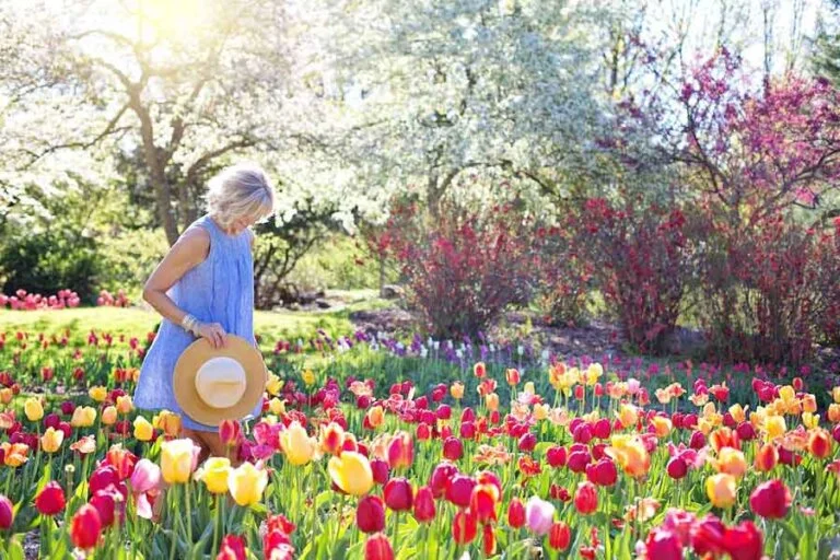 35 Best Inspirational Garden Quotes to Nourish Your Mind
