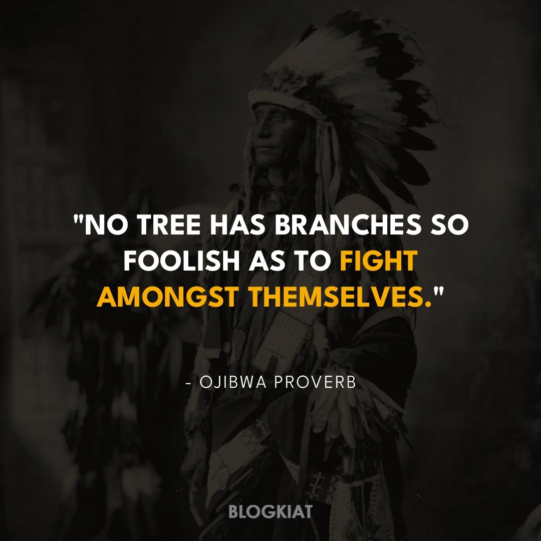 native american proverbs life changing wisdom
